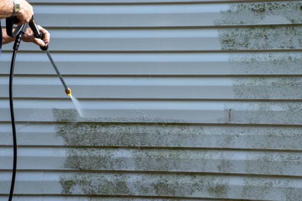 Best Engineered Wood Siding  in Brooklet, GA